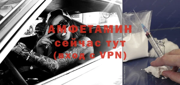 шишки Балабаново
