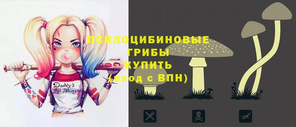 кокс Баксан