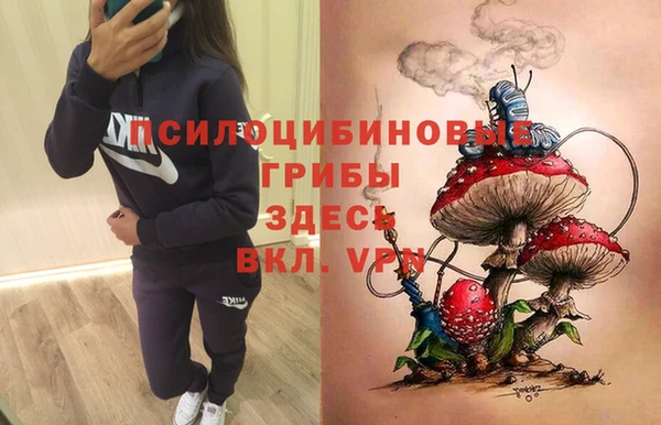 кокс Баксан
