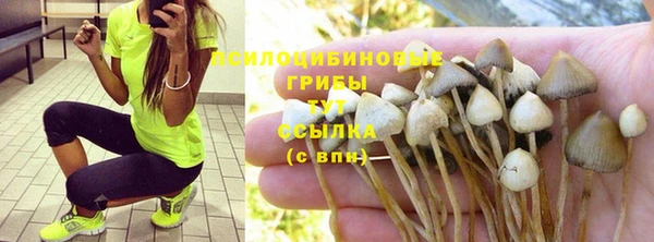 шишки Балабаново