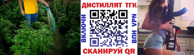 где купить   Макарьев  ТГК гашишное масло 